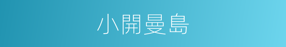 小開曼島的同義詞