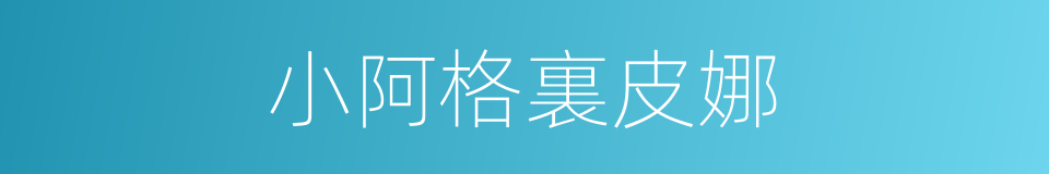 小阿格裏皮娜的同義詞