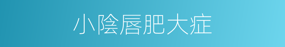 小陰唇肥大症的同義詞