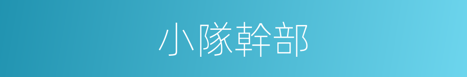 小隊幹部的同義詞