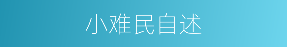 小难民自述的同义词