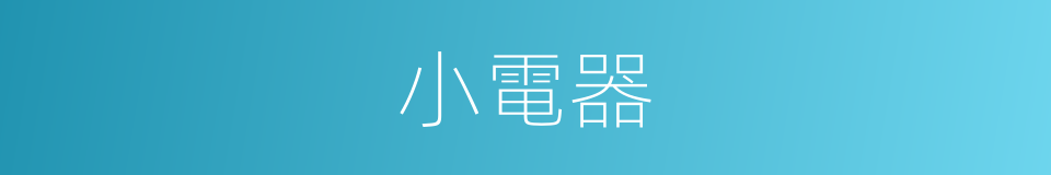 小電器的同義詞
