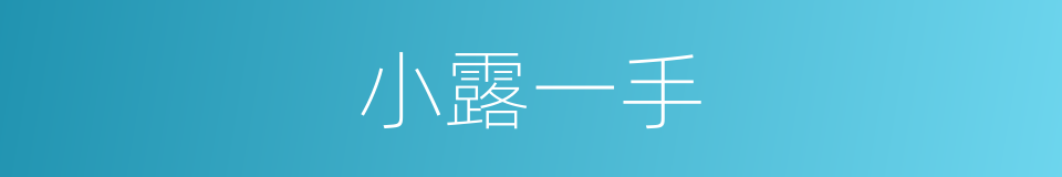 小露一手的同义词