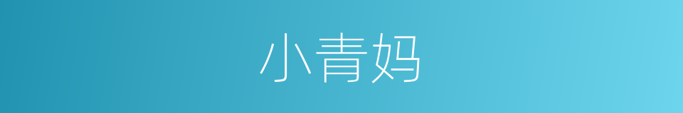 小青妈的同义词