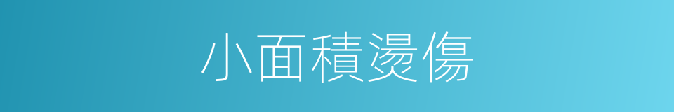小面積燙傷的同義詞