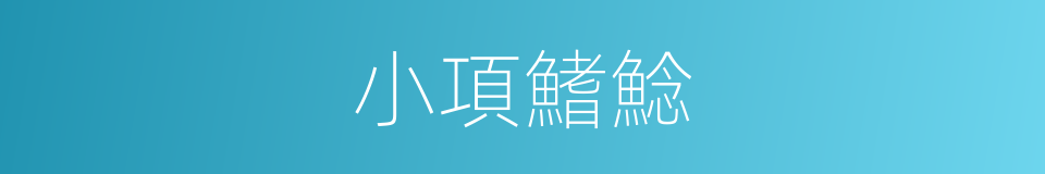 小項鰭鯰的同義詞