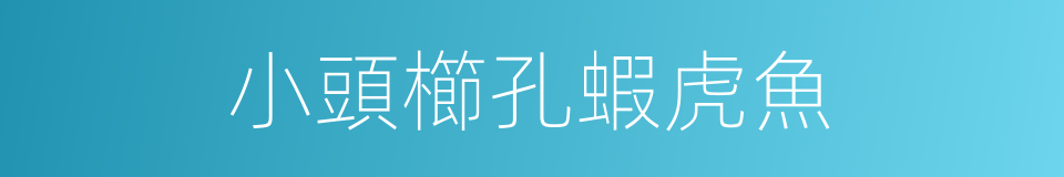 小頭櫛孔蝦虎魚的同義詞