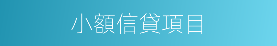 小額信貸項目的同義詞