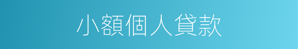 小額個人貸款的同義詞