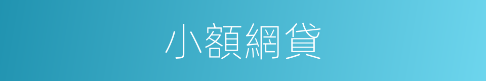 小額網貸的同義詞