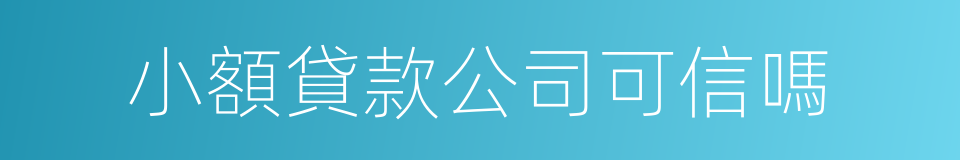 小額貸款公司可信嗎的同義詞