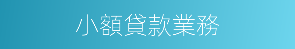 小額貸款業務的同義詞