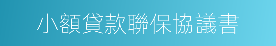 小額貸款聯保協議書的同義詞