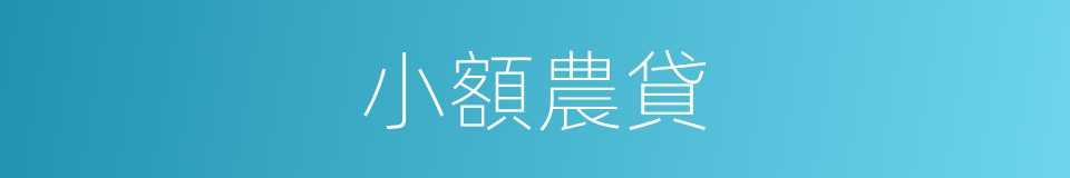 小額農貸的同義詞