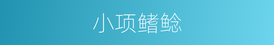 小项鳍鲶的同义词