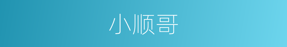 小顺哥的同义词