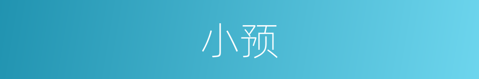 小预的同义词