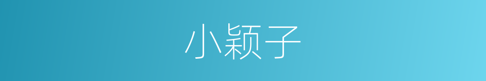 小颖子的同义词