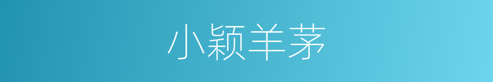 小颖羊茅的同义词