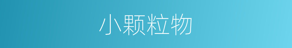 小颗粒物的同义词
