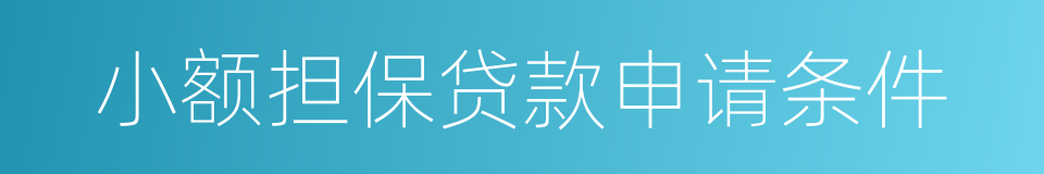 小额担保贷款申请条件的同义词