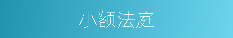 小额法庭的同义词