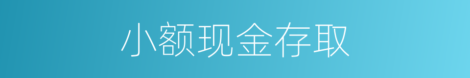 小额现金存取的同义词