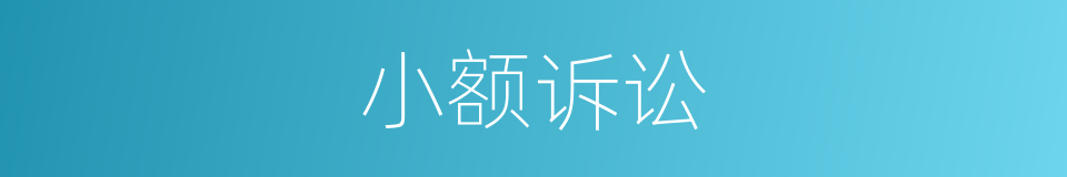 小额诉讼的同义词