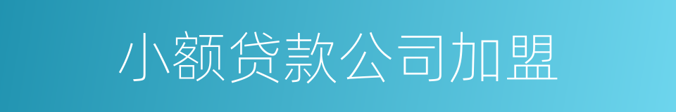 小额贷款公司加盟的同义词