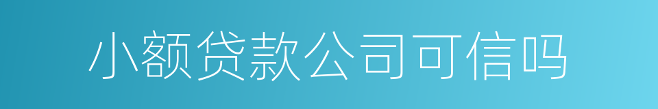 小额贷款公司可信吗的同义词