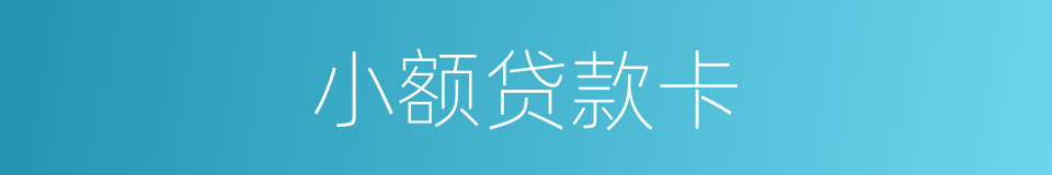 小额贷款卡的同义词