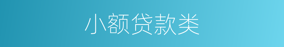 小额贷款类的同义词