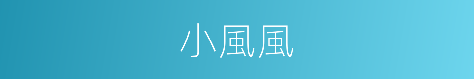 小風風的同義詞