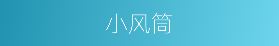 小风筒的同义词