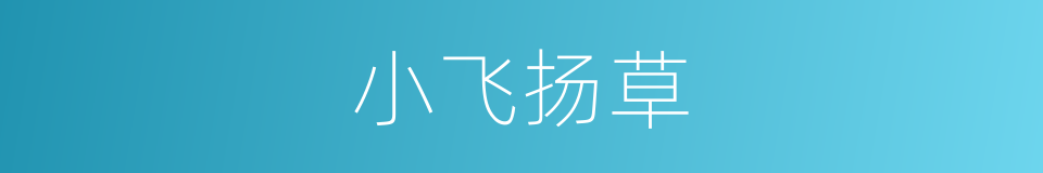 小飞扬草的同义词