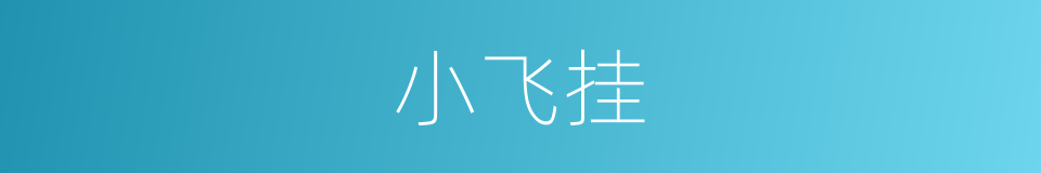 小飞挂的同义词