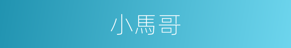 小馬哥的同義詞