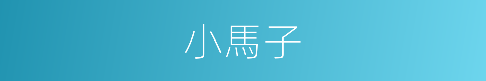 小馬子的同義詞
