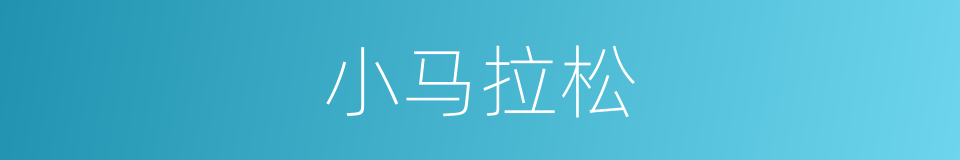 小马拉松的同义词