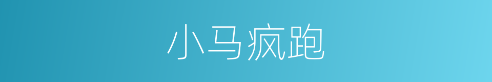 小马疯跑的同义词