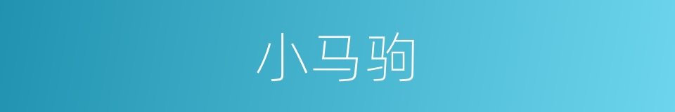 小马驹的同义词