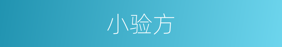 小验方的同义词