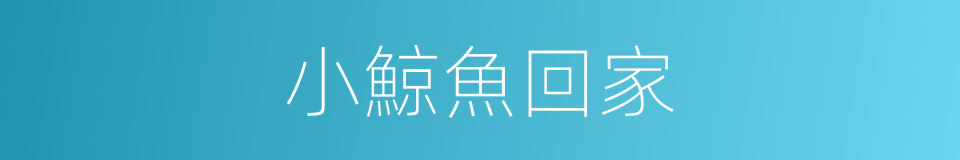 小鯨魚回家的同義詞