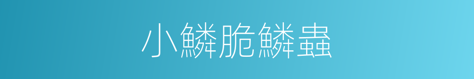 小鱗脆鱗蟲的同義詞