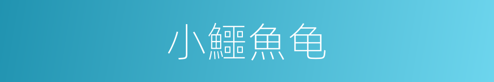 小鱷魚龟的同義詞