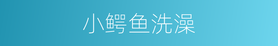 小鳄鱼洗澡的同义词