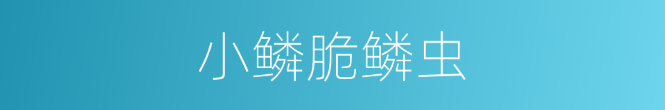 小鳞脆鳞虫的同义词