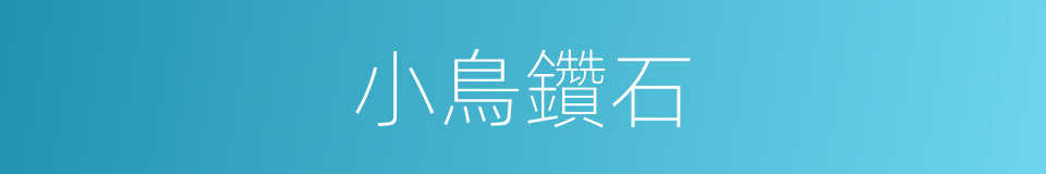 小鳥鑽石的同義詞