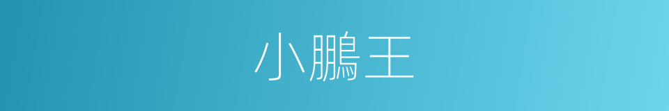 小鵬王的同義詞