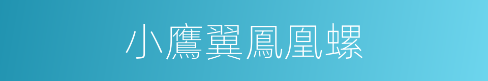 小鷹翼鳳凰螺的同義詞